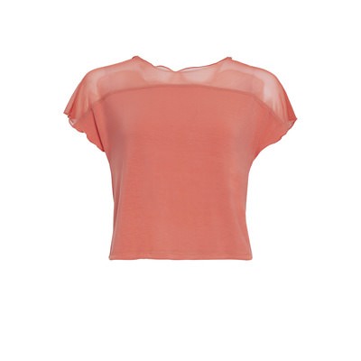 SHIRT «BASIC SHIRT» SHIRT «BASIC SHIRT»