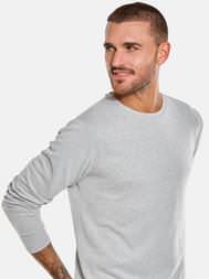 emilio adani Herren Rundhals Shirt in Hellgrau emilio adani Herren Rundhals Shirt in Hellgrau