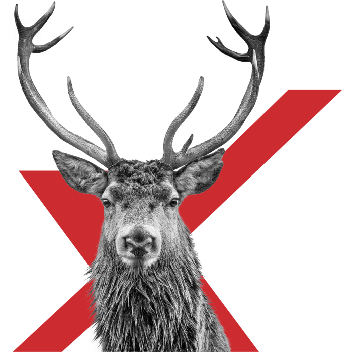 Best parts trade black forest