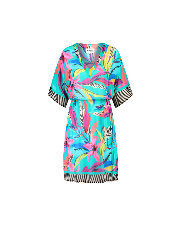 FIJI, , large