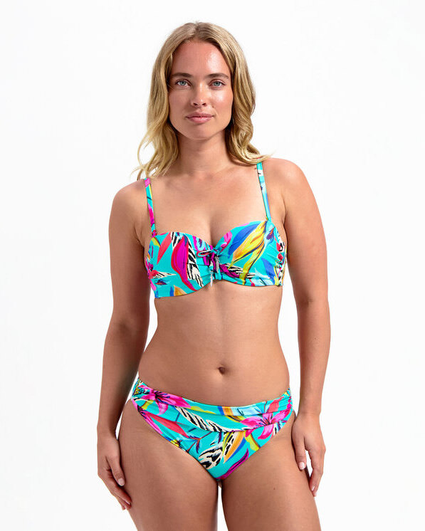 FIJI, , large