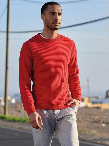 emilio adani Herren Pullover regular Rot 38301 emilio adani Herren Pullover regular Rot 38301