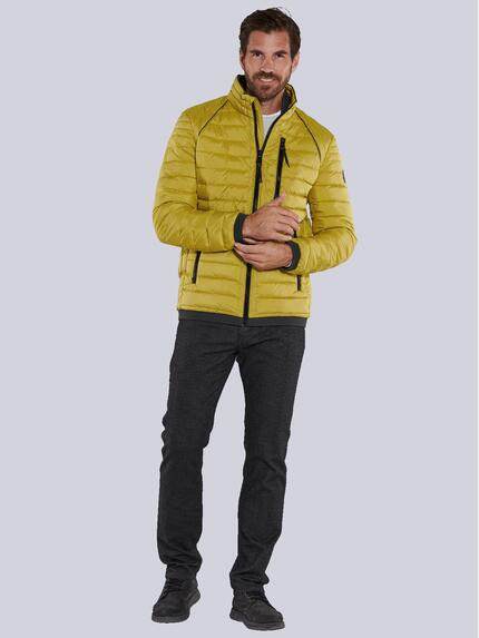 engbers Herren Steppjacke regular Gelb 35428 engbers Herren Steppjacke regular Gelb 35428