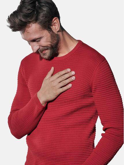 emilio adani Herren Strukturierter Rundhalspullover Rot 30954 emilio adani Herren Strukturierter Rundhalspullover Rot 30954