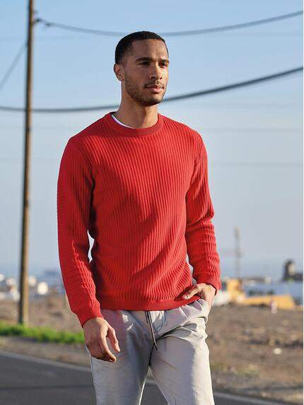 emilio adani Pullover regular Rot