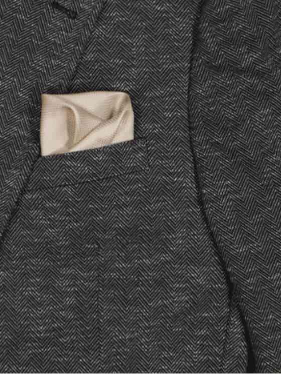 emilio adani Herren Einstecktuch strukturiert Beige 36746