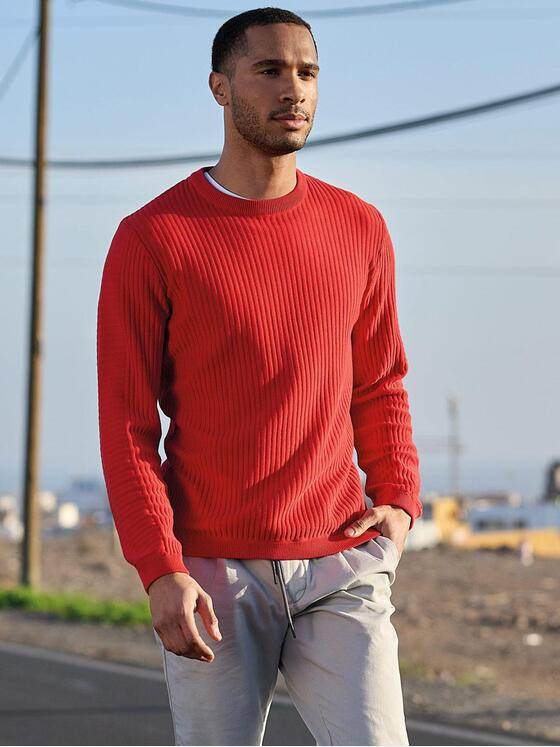 emilio adani Herren Pullover regular Rot 38301