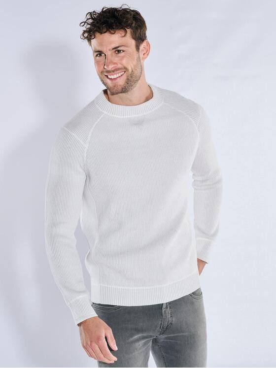 emilio adani Herren Rundhals Pullover Hellgrau 39953