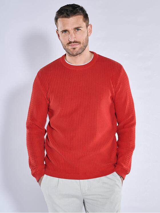 emilio adani Herren Pullover regular Rot 38301