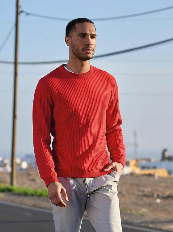emilio adani Herren Pullover regular Rot 38301