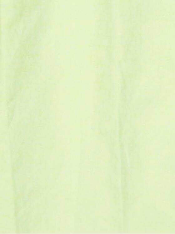 ENGBERS GERMANY Herren Langarm-Hemd mit Leinen-Anteil Limonengelb 33234