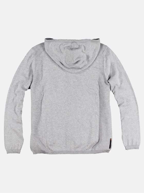 emilio adani Herren Sportiver Hoodie Hellgrau 29241