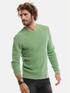 emilio adani Rundhals Pullover Grasgruen emilio adani Rundhals Pullover Grasgruen