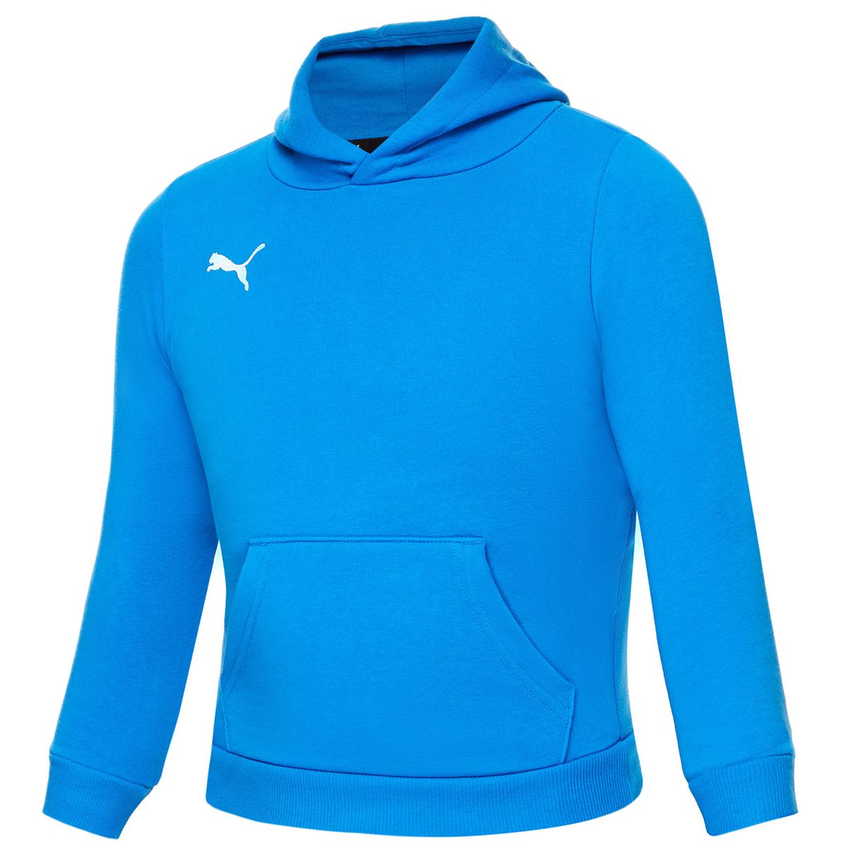 Puma TeamGOAL 23 Casuals Kinder Kapuzensweater