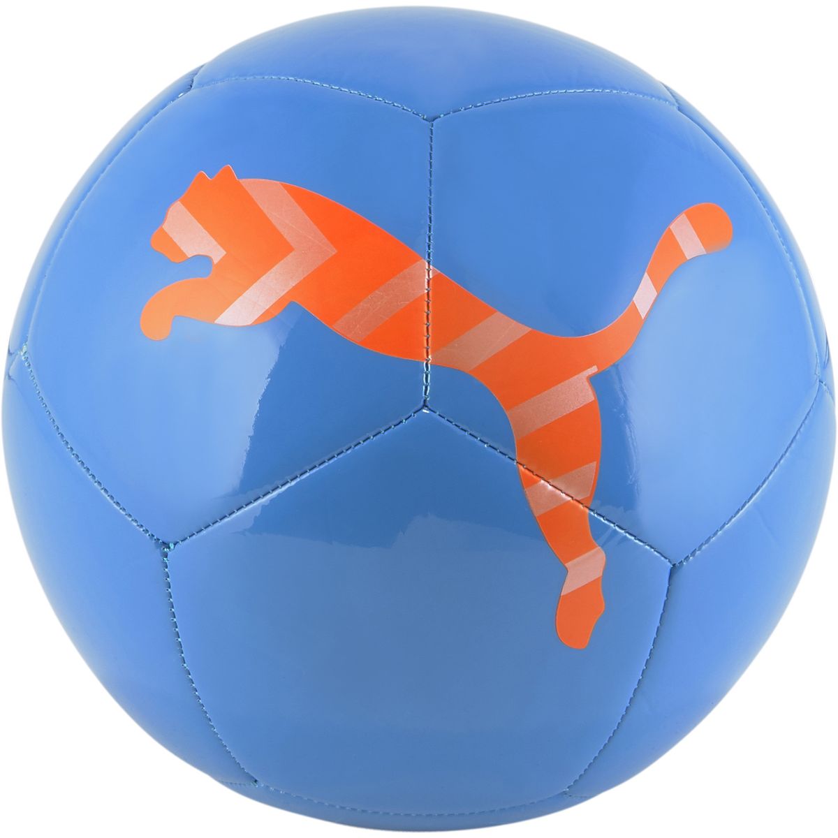 Puma Icon Ball Outdoor-Fußball
