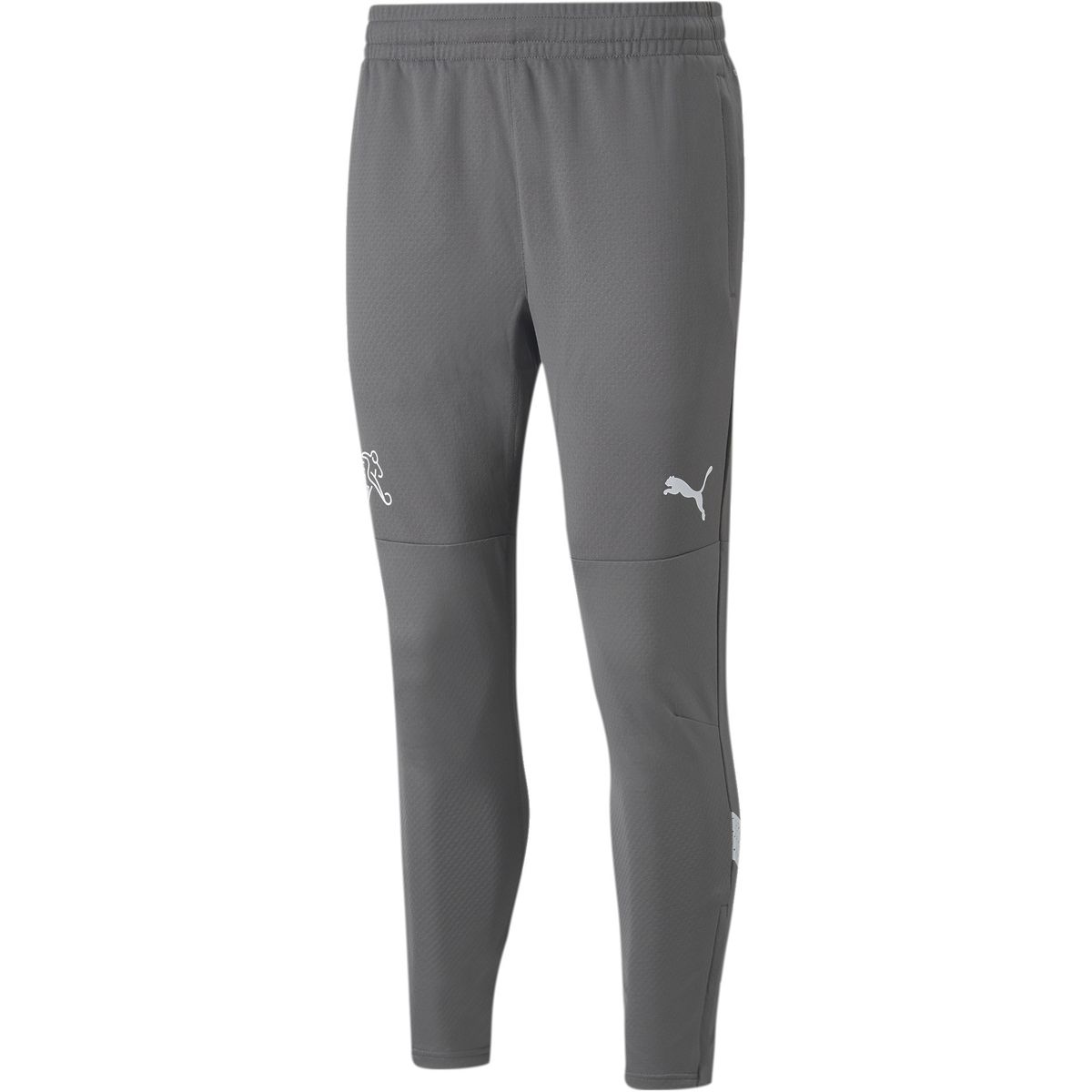 Puma SFV Training Herren Sporthose