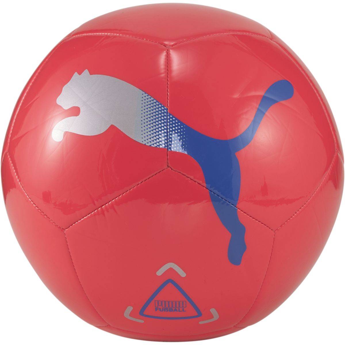 Puma Icon Ball Outdoor-Fußball