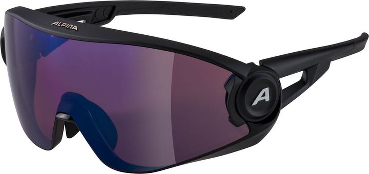 Alpina 5W1Ng QV Sonnenbrille Unisex_0