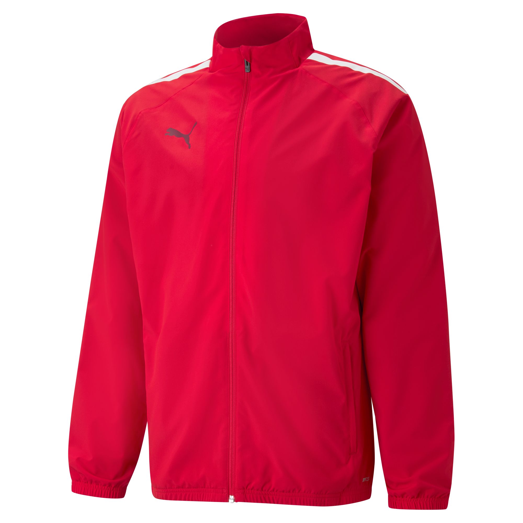Puma TeamLIGA Sideline Herren Blouson