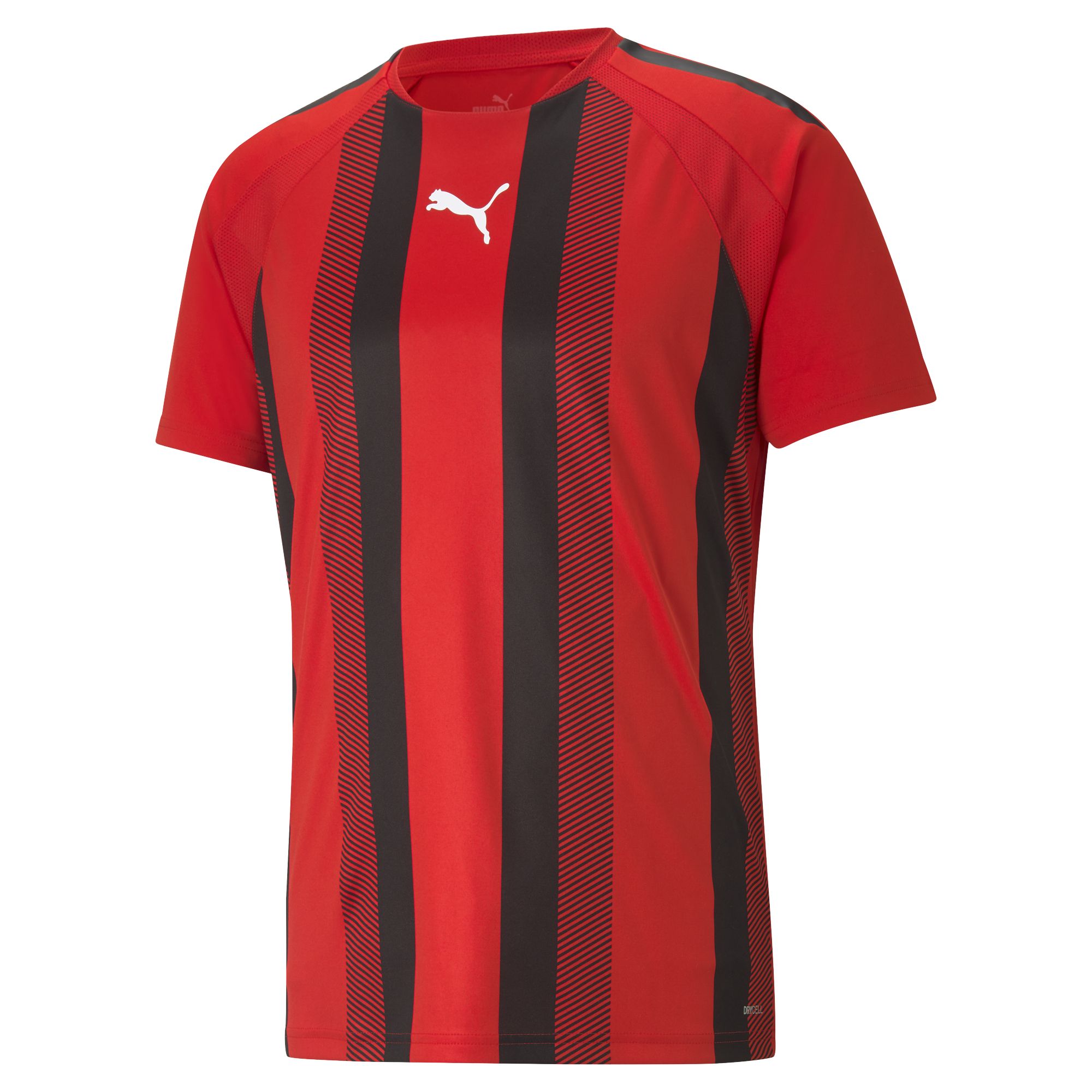 Puma TeamLIGA Striped Herren T-Shirt_0