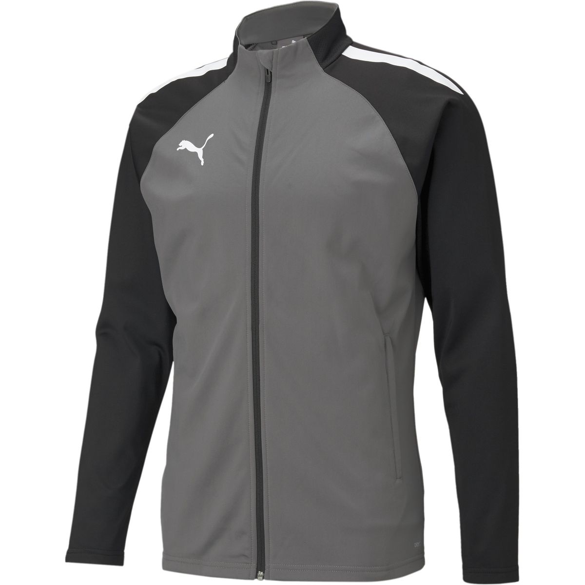 Puma TeamLIGA Training Herren Blouson