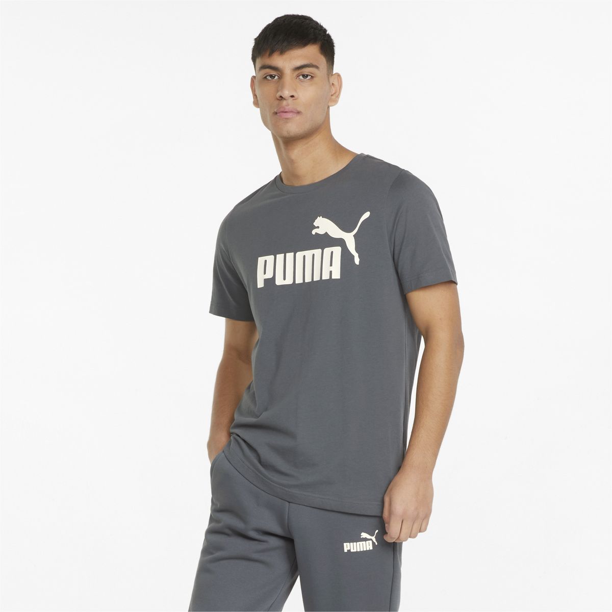 Puma ESS Logo Tee Herren T-Shirt_4