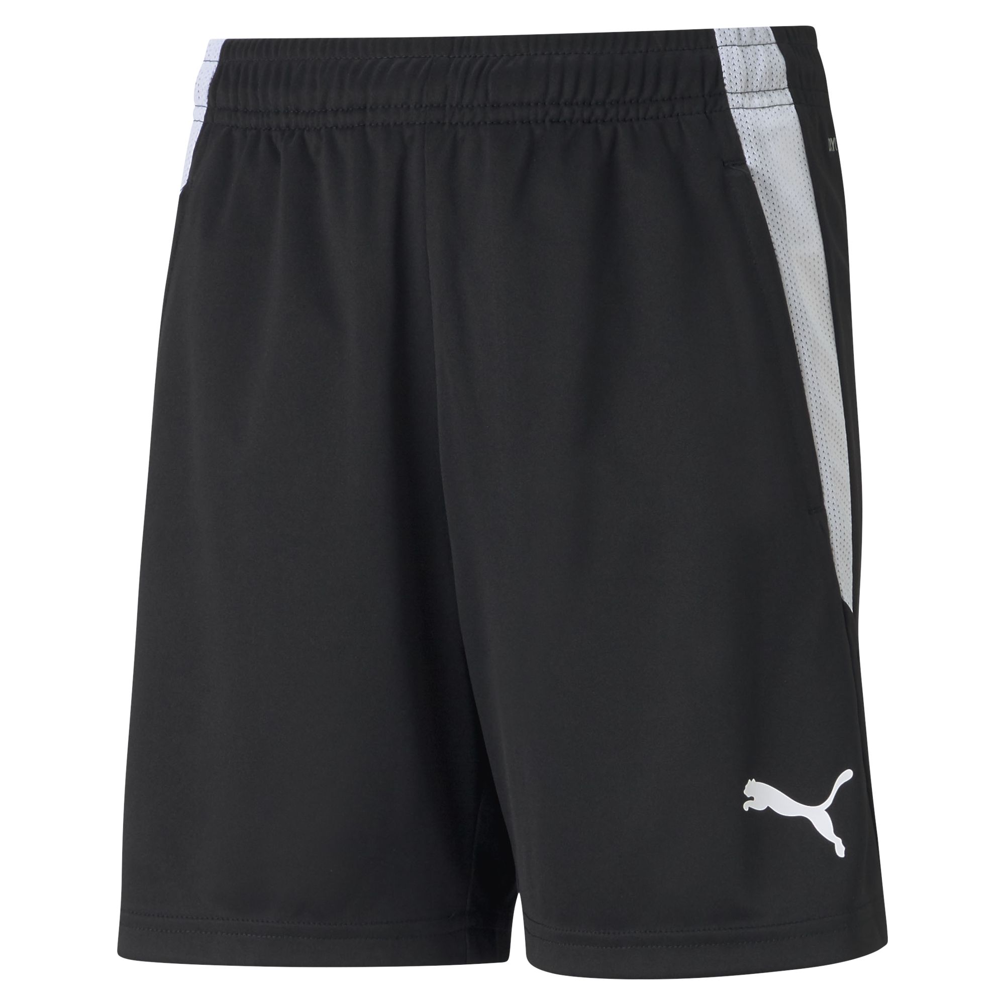 Puma TeamLIGA Training Kinder Shorts