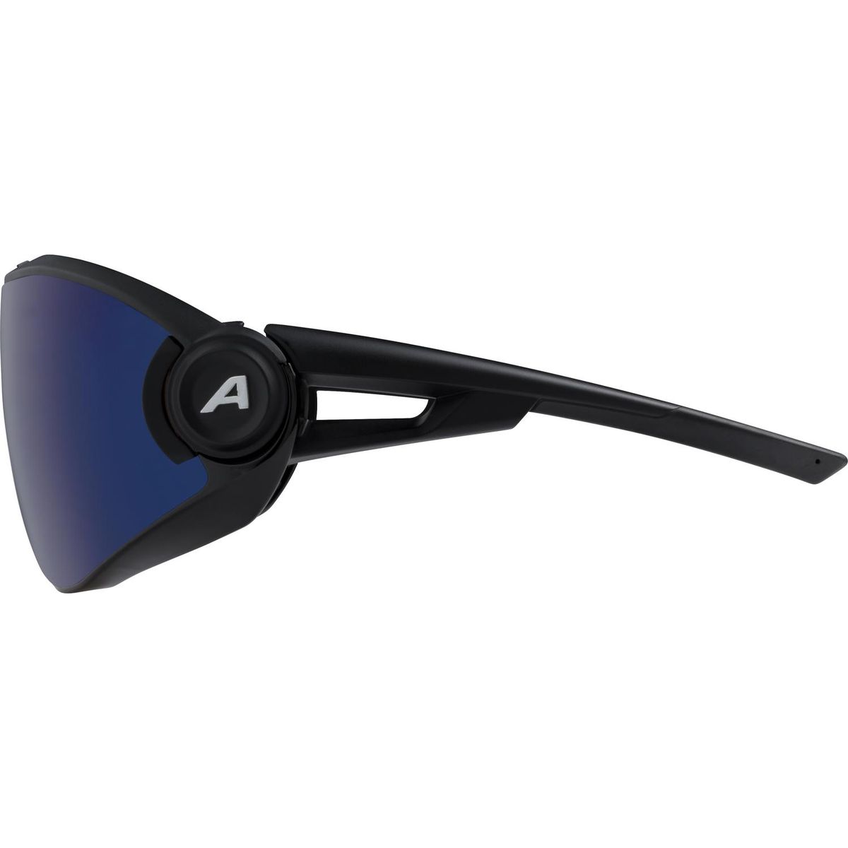 Alpina 5W1Ng QV Sonnenbrille Unisex_2