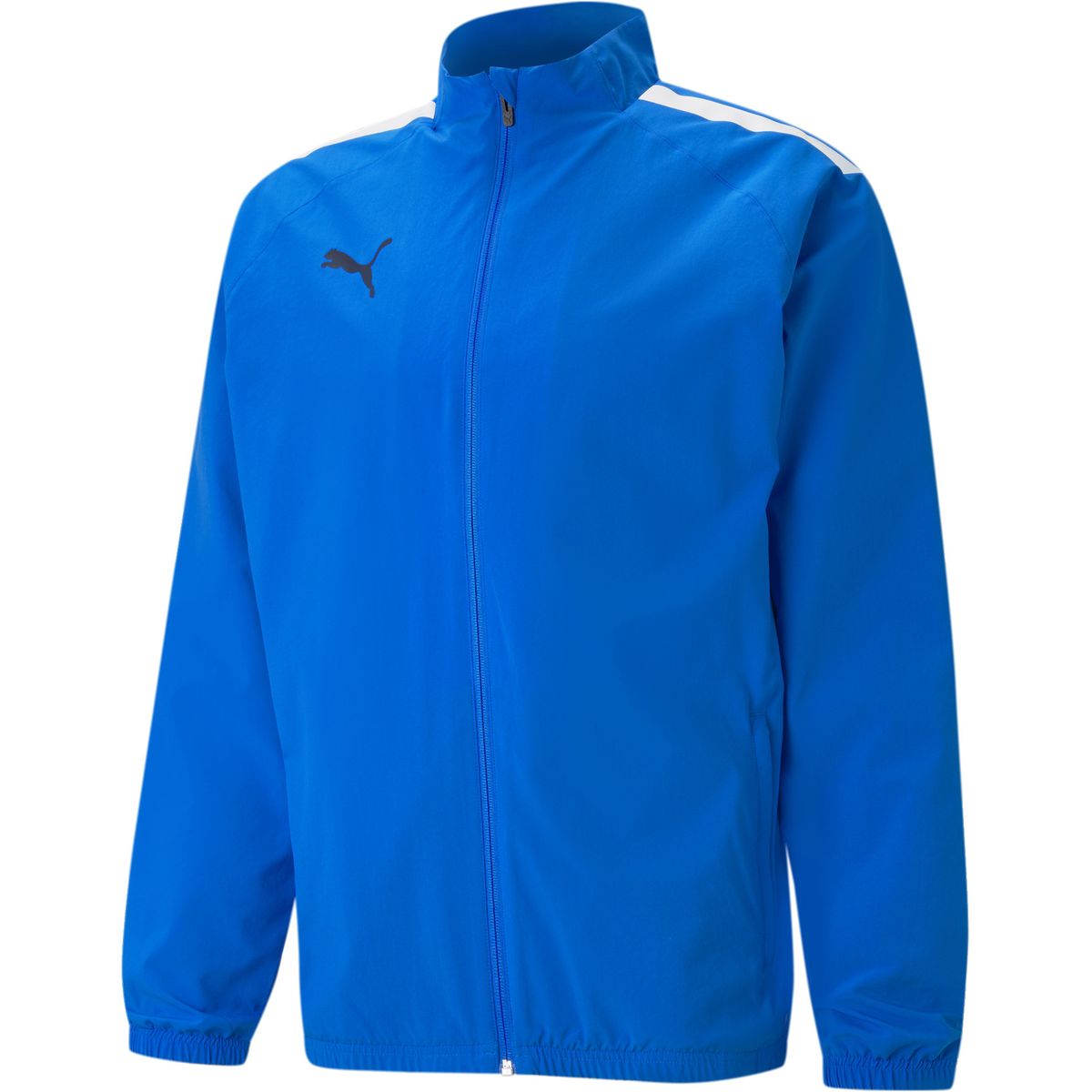 Puma TeamLIGA Sideline Herren Blouson