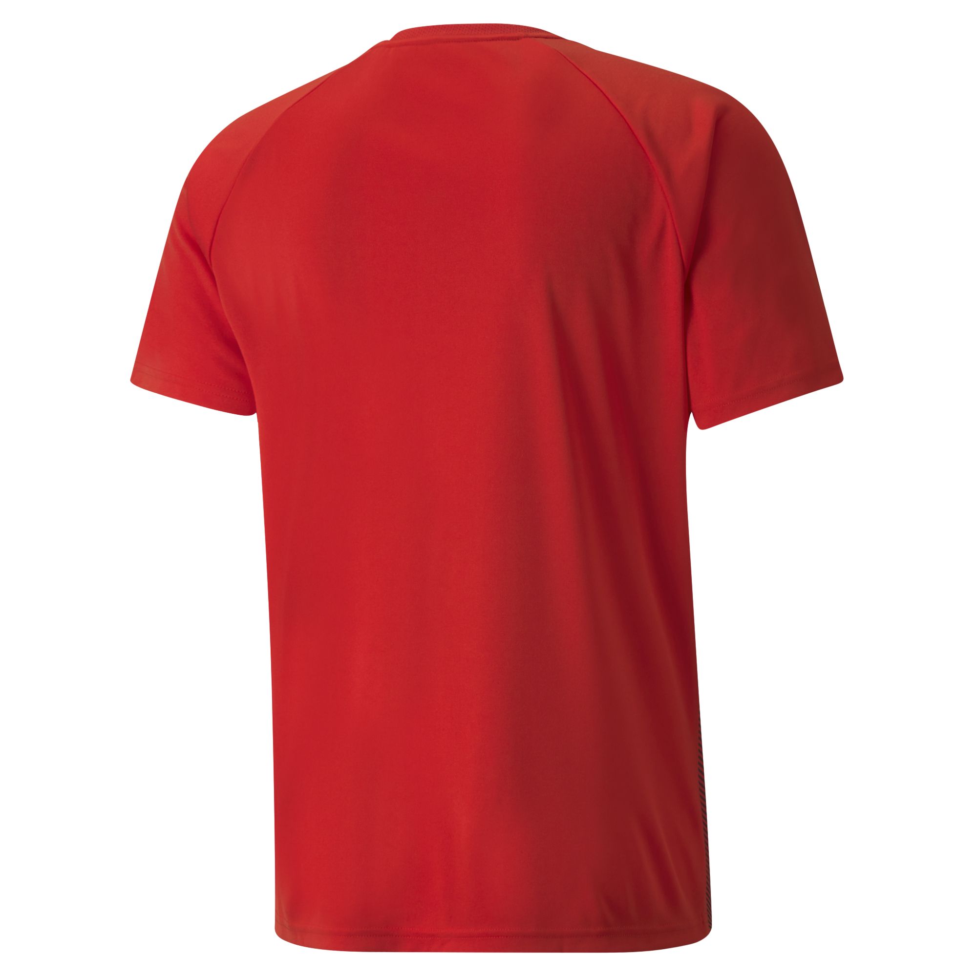 Puma TeamLIGA Striped Herren T-Shirt_1
