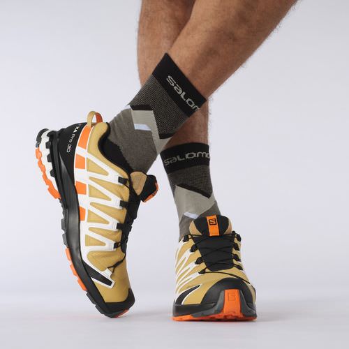 Salomon XA PRO 3D v8 Gore-Tex Herren Trailrunning-Schuh
