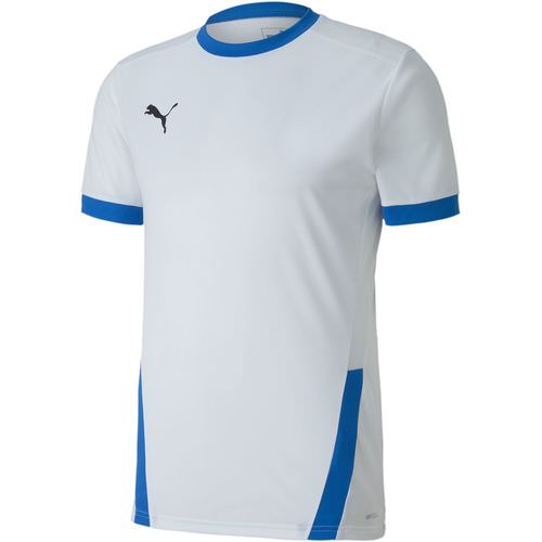 Puma TeamGOAL 23 Herren Trikot