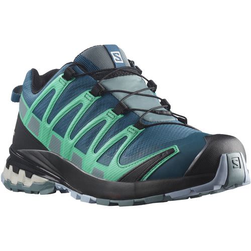 Salomon XA PRO 3D v8 Gore-Tex Damen Trailrunning-Schuh