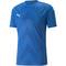 Puma TeamGLORY Herren Trikot