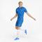 Puma TeamGLORY Herren Trikot