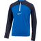 Nike Dri-FIT Academy Pro Kinder Trikot