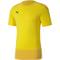 Puma TeamGOAL 23 Training Herren Trikot