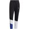 Adidas Sportswear Colorblock Hose Herren