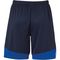Kempa Emotion 2.0 Herren Shorts