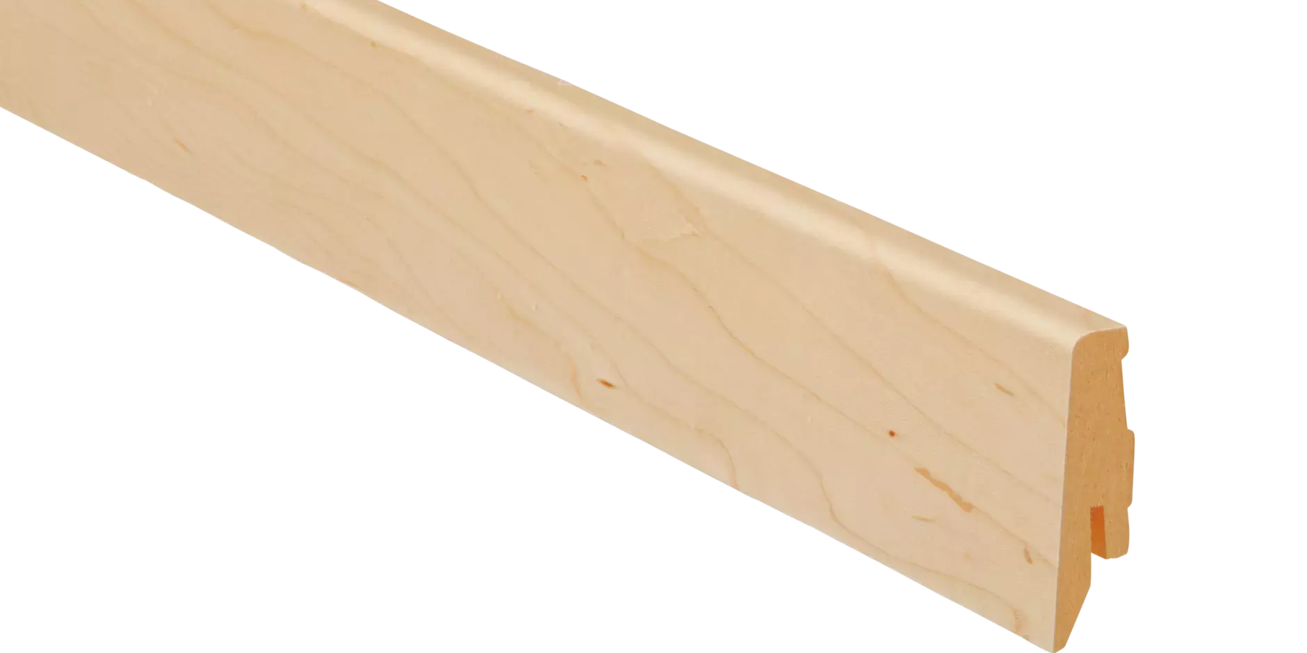 Ahorn farbig | 18179