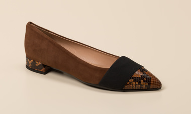 Andrea Puccini Ballerina